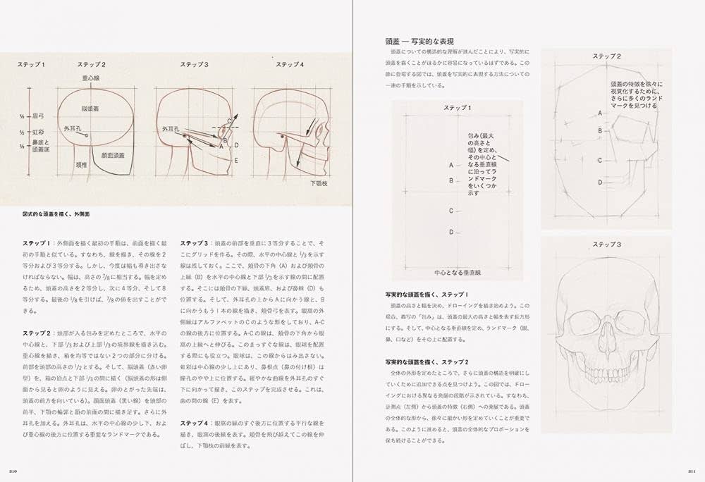 美術解剖図説　オックスフォード 人体デッサン、人体解剖学に関するおすすめ本 5選 | 坂元忠夫の